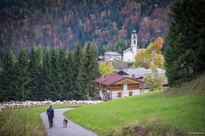 Sauris-Zahre, Italia. El típico paisaje alpino se caracteriza por bosques extremadamente espesos, prados salpicados de cabañas de pastores y circundado de un lago verde, que cambia de color según las estaciones.