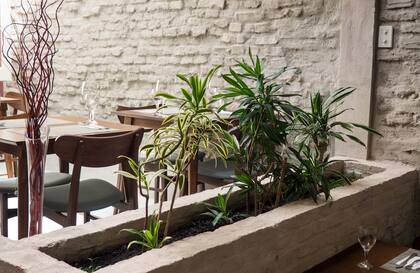 Savarin, sólo al mediodía.