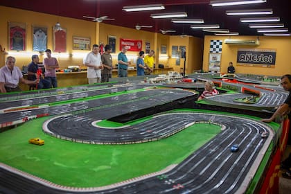 Scaletrix gigante