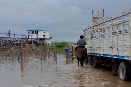 Scarparo dijo que están analizando con abogados ir a la Justicia