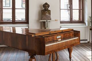 El viaje de otoño de Franz Schubert