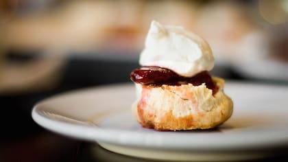 Scon, gentileza Uco.