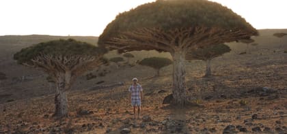 “Se acercaban a la ventanilla, nos apuntaban con la mirada fija y no paraban de hacerme preguntas”.