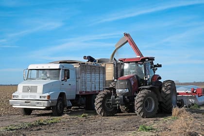 Se advierte que hacia finales de 2025 el stock de financiamiento bancario al sector agrícola registró un incremento real del 51% respecto a diciembre del año anterior y se ubicó 60% por encima del promedio de los últimos cinco años
