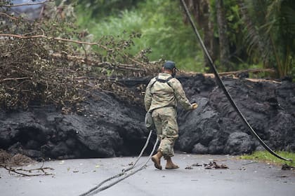 Personal capacitado toma muestras para ser examinadas en el laboratorio