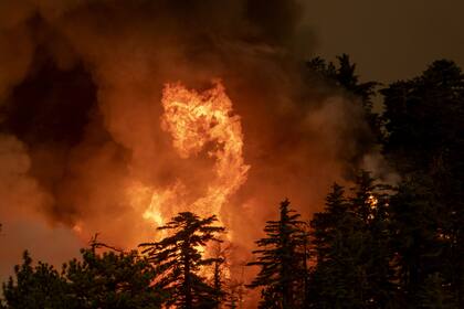 Hay decenas de focos de incendios en California