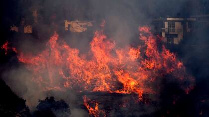 Dada la gravedad de la situación el alerta pasó de rojo a púrpura, un color que nunca antes se había usado
