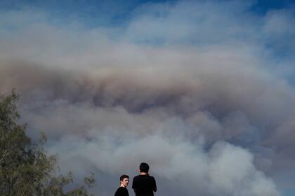 Dos jóvenes observan desde una colina