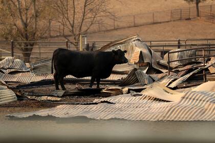 Se agrava la situación por los incendios en California