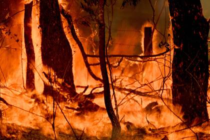 Se agrava la situación por los incendios en Australia y se declaró estado de emergencia catastrófico