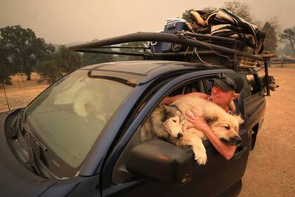 Una mujer intenta contener a sus perros al evacuar su casa, ésta es la segunda vez en el año que debe abandonar su vivienda por los incendios