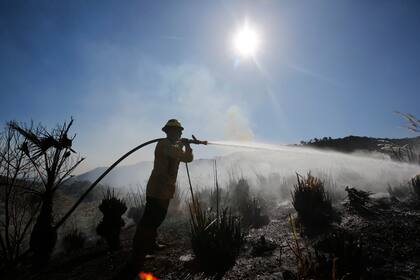 Los vientos molestan y son la parte más compleja del incendio