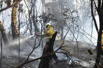 Los bomberos continúan trabajando sin pausa para controlar los incendios que están devastando el este del país asolado por la sequía