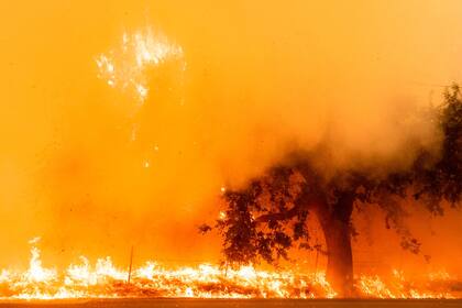 Se agrava la situación por los Miles de hectáreas han sido devoradas por el fuego en California