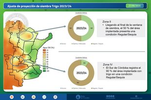 Se ajustó la proyección de área debido a la falta de humedad principalmente en el centro-oeste de la región agrícola