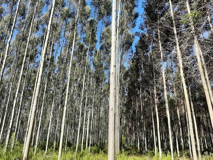 Se analizaron 5377 sitios en todo el territorio nacional