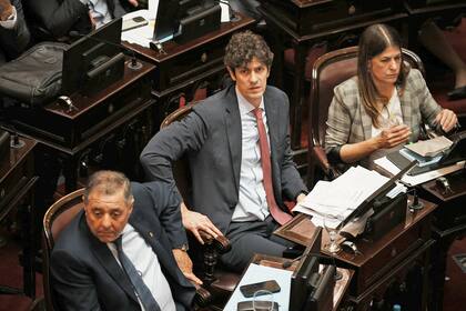 Se aprobó la Ley Bases en el Senado de la Nación, continúa la votación punto por punto. Martín Lousteau