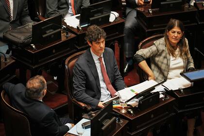 Se aprobó la Ley Bases en el Senado de la Nación, continúa la votación punto por punto. Martín Lousteau