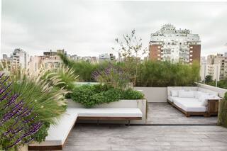 Cómo armar un paraíso verde en la terraza, eligiendo especies que requieran pocos cuidados