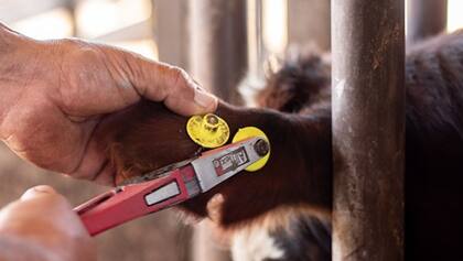 Se apunta a la trazabilidad