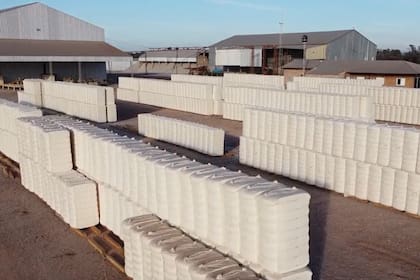 Se apunta a la sostenibilidad y al agregado de valor local con una nueva fibra de algodón de calidad internacional