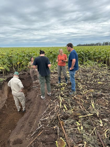 Alquila 73.000 hectáreas: una empresa familiar desarrolló un impactante modelo de producción