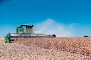 Fertilizantes especiales: se nota la buena química