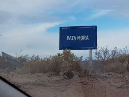 Se busca explotar 3.500 hectáreas en Pata Mora, un pueblo que podría renacer en el sur mendocino.