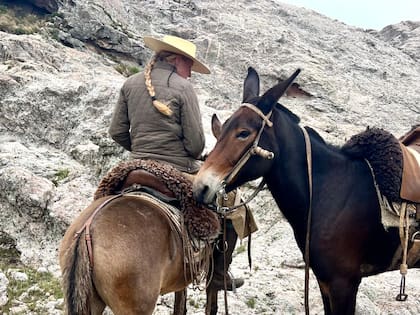 “Se busca poner en valor a las mulas y los burros, animales que han tenido mala fama, pero que son extraordinariamente inteligentes y sensibles”, dijo Cataldi