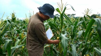 Se buscan más oportunidades laborales para los profesionales del sector
