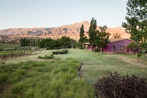 Este jardín en los Valles Calchaquíes encontró la clave para replicar el tono de las montañas e integrarse al paisaje