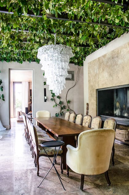 Se buscó unir el interior y exterior por medio de grandes ventanales. Por la pérgola trepan Tetrastigma voinierianum, Solanum laxum y Jasminum azoricum