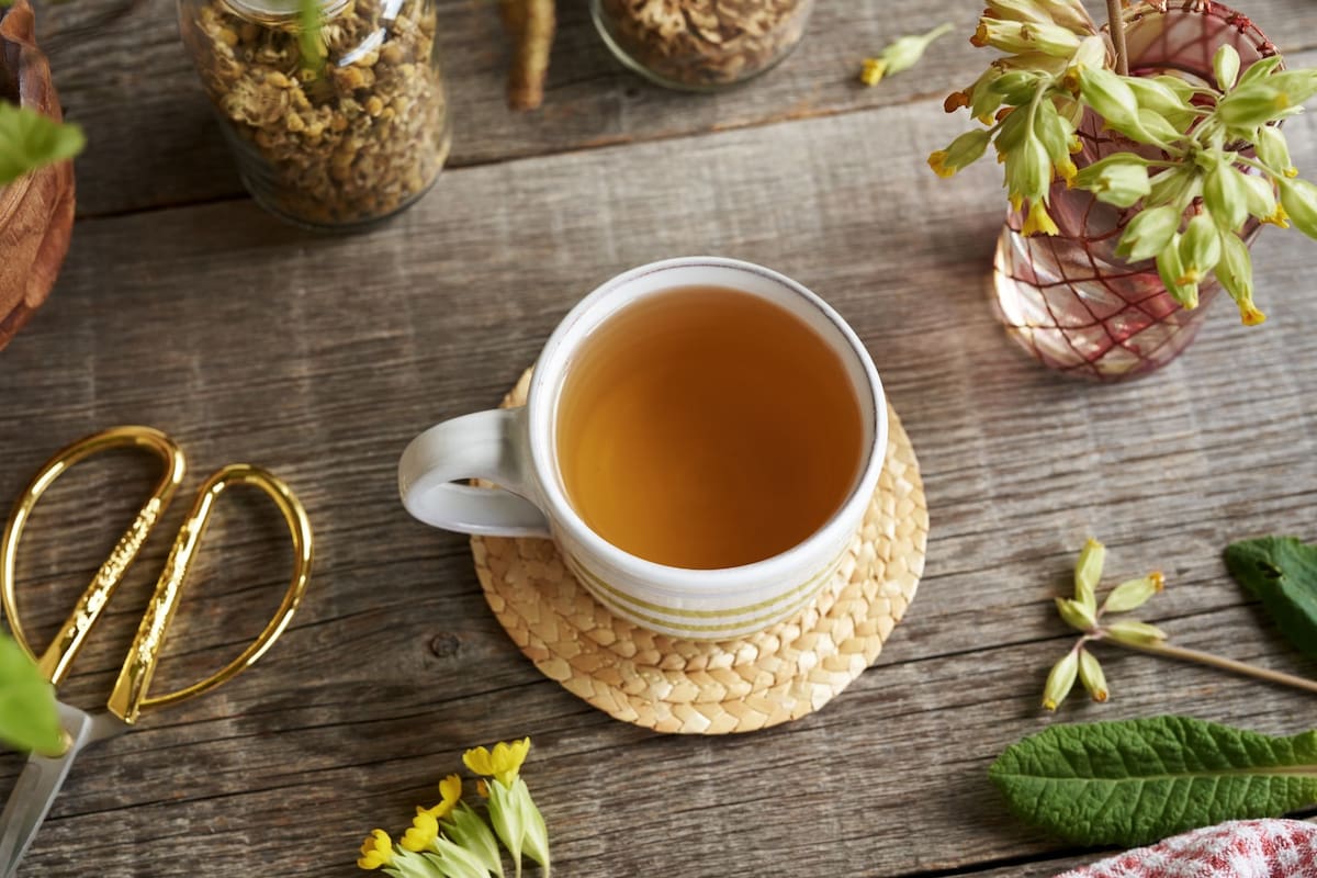 ¡Celebra el Día del Té! Descubre sus Secretos, Beneficios y la Tradición Argentina