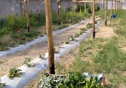 Se combina teoría y práctica