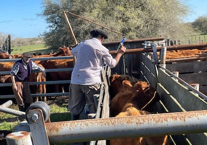 Se confirmó un aumento para los peones rurales en julio y agosto