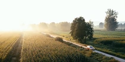 Se cree que el modelo que reemplazará al Fiesta será el Puma eléctrico.