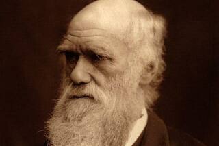 El científico que se comía los animales que estudiaba: la historia del “Club del Glotón” de Charles Darwin