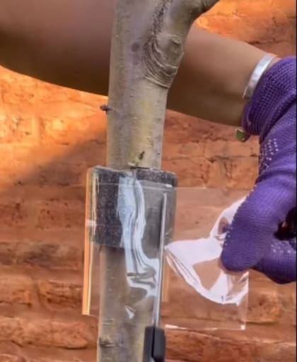 Se debe colocar el plástico para cubrir la goma espuma.