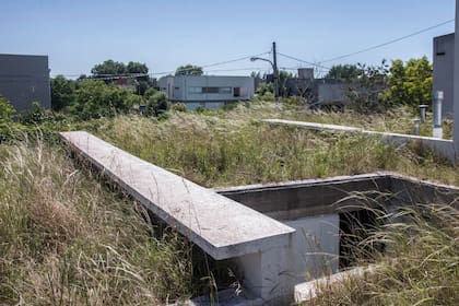 Se dejó crecer el banco de semillas que portaba el suelo vegetal para producir una pradera-pastizal espontánea.