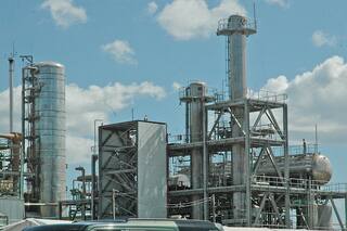 Las semillas oleaginosas de alto contenido de aceite, en el podio de las oportunidades