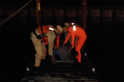 Se desconocen aún las razones por las que cayó al agua