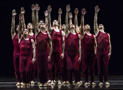 Se destaca la interpretación del conjunto