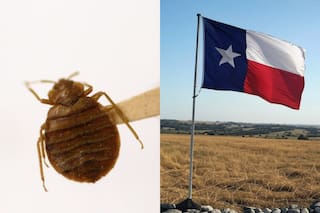 El extraño fenómeno que aparece tras el frío extremo