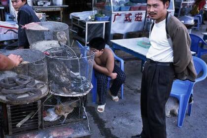Se dice que las demandas chinas también están alimentando los mercados de animales salvajes en los países asiáticos vecinos