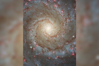 Se difunfieron tres fotos (Foto Instagram @nasa)