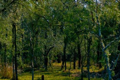 Se dio a conocer una iniciativa privada con el fin de conocer y reducir el impacto ambiental
