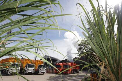 Se dio inicio a la zafra azucarera. Gentileza Compañía Azucarera Los Balcanes