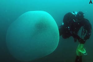 Sorpresa en el océano: encontraron una misteriosa burbuja con una mancha negra