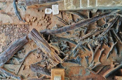 Se encontraron miles de piezas que muestran el modo de vida de esos humanos primitivos (Foto: X)