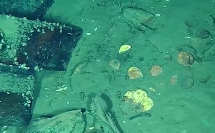 Se encontraron moneda de oro que estaban en el buque (Foto: Armada Colombia)